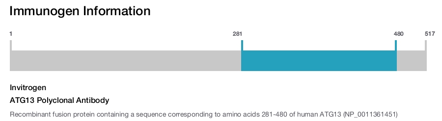 ATG13 Polyclonal Antibody
