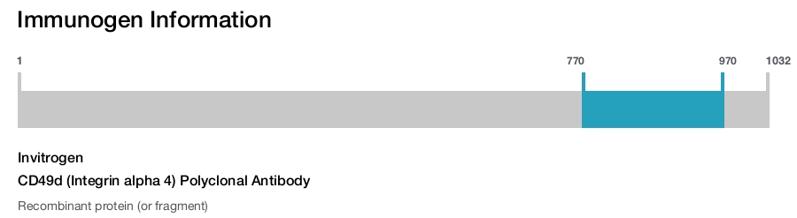 CD49d (Integrin alpha 4) Polyclonal Antibody