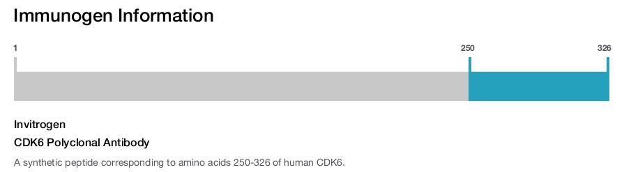 CDK6 Polyclonal Antibody