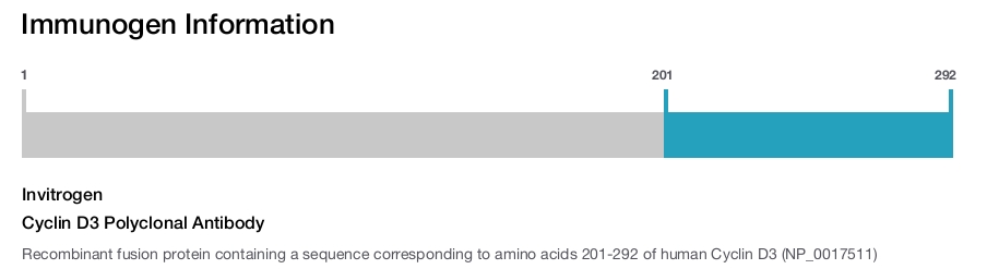 Cyclin D3 Polyclonal Antibody
