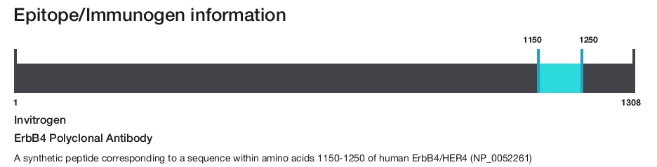 ErbB4 Polyclonal Antibody
