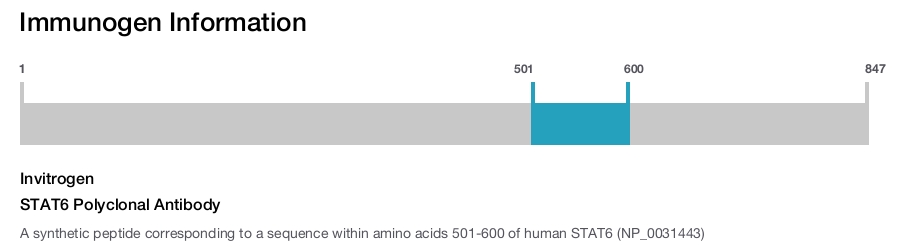 STAT6 Polyclonal Antibody