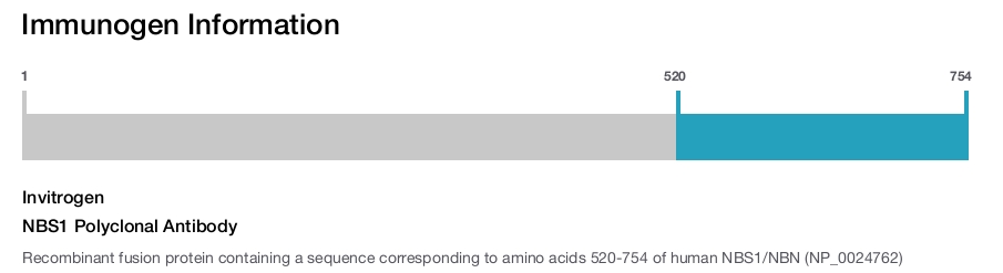 NBS1 Polyclonal Antibody