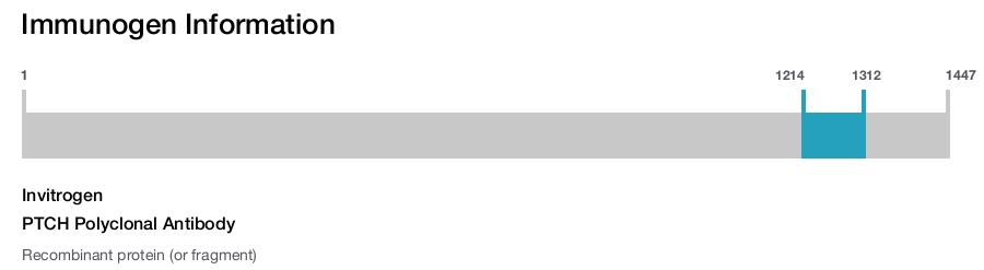 PTCH Polyclonal Antibody