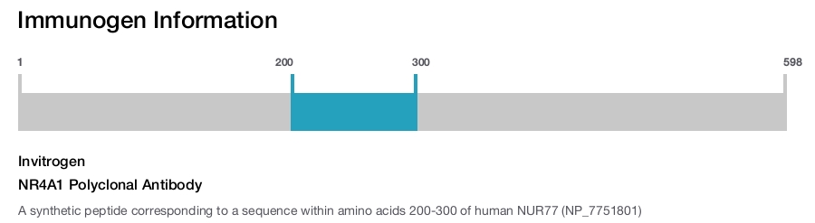 NR4A1 Polyclonal Antibody