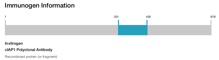 cIAP1 Polyclonal Antibody