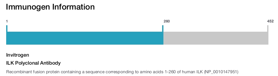 ILK Polyclonal Antibody