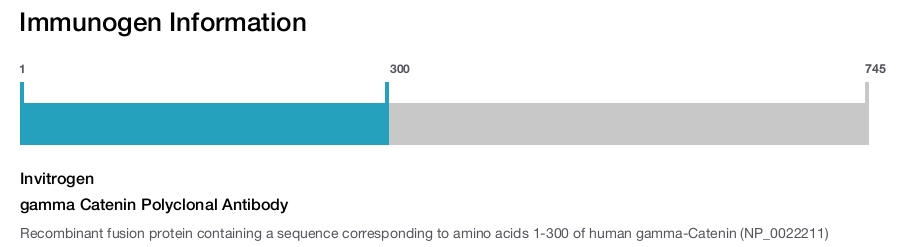 gamma Catenin Polyclonal Antibody