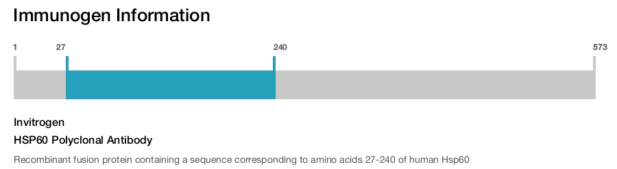 HSP60 Polyclonal Antibody