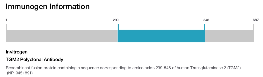 TGM2 Polyclonal Antibody