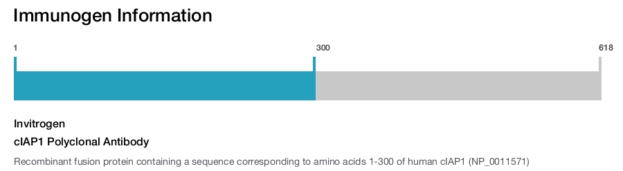 cIAP1 Polyclonal Antibody