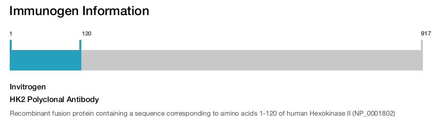 HK2 Polyclonal Antibody
