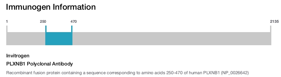 PLXNB1 Polyclonal Antibody