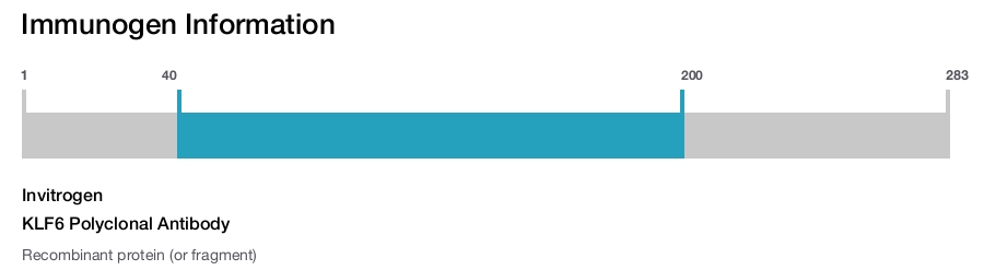 KLF6 Polyclonal Antibody