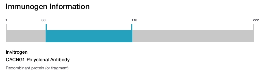 CACNG1 Polyclonal Antibody