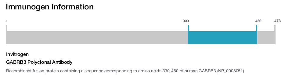 GABRB3 Polyclonal Antibody