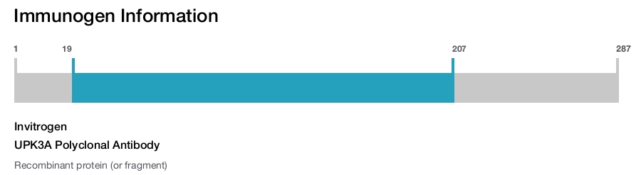 UPK3A Polyclonal Antibody