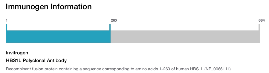 HBS1L Polyclonal Antibody