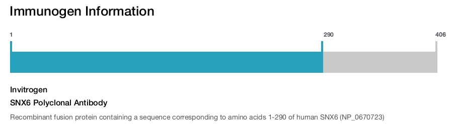SNX6 Polyclonal Antibody