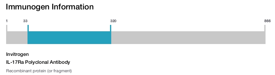 IL-17Ra Polyclonal Antibody
