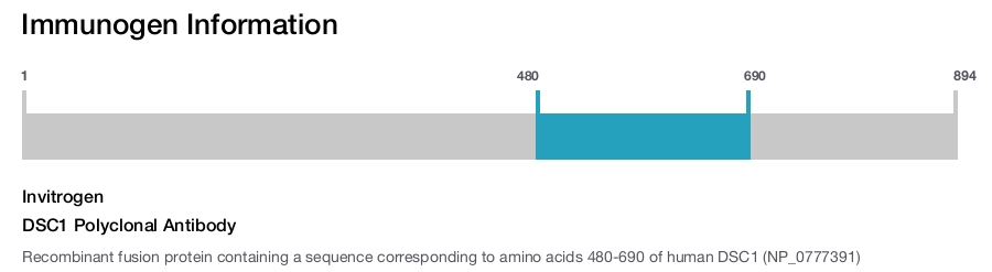 DSC1 Polyclonal Antibody