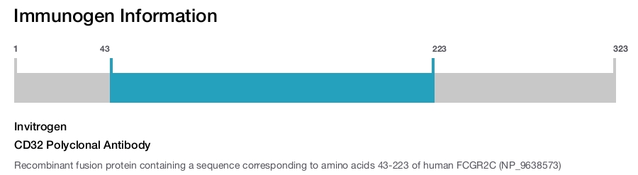 CD32 Polyclonal Antibody