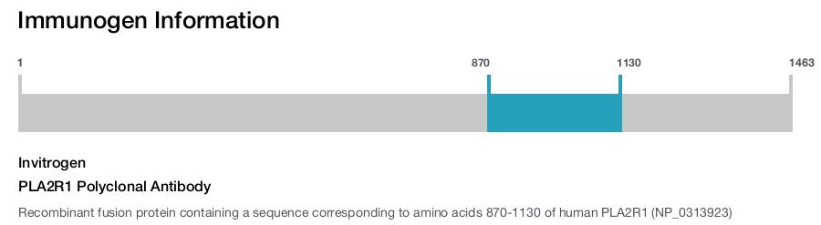 PLA2R1 Polyclonal Antibody