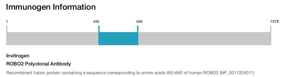 ROBO2 Polyclonal Antibody