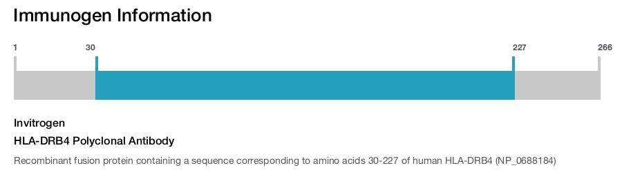 HLA-DRB4 Polyclonal Antibody