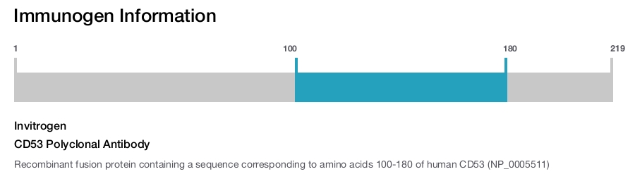 CD53 Polyclonal Antibody