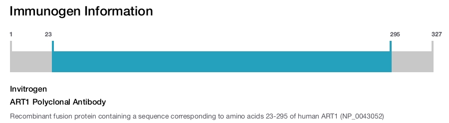 ART1 Polyclonal Antibody