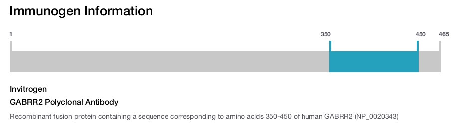 GABRR2 Polyclonal Antibody