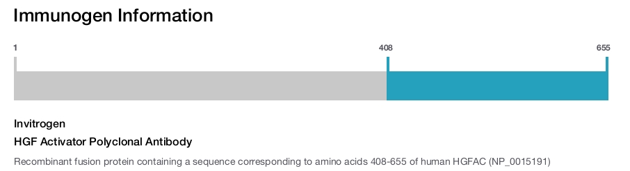HGF Activator Polyclonal Antibody
