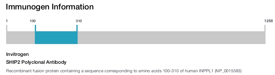 SHIP2 Polyclonal Antibody