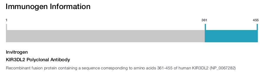 KIR3DL2 Polyclonal Antibody