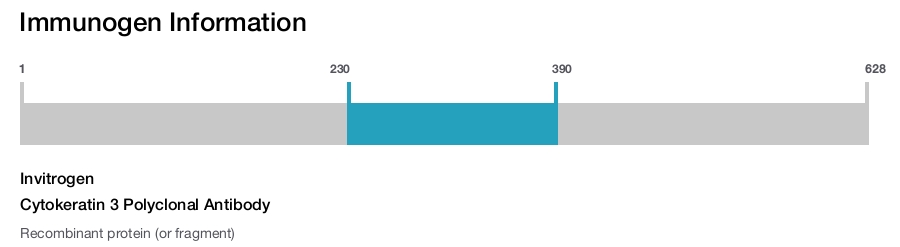 Cytokeratin 3 Polyclonal Antibody