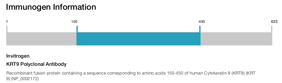 KRT9 Polyclonal Antibody