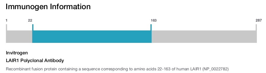 LAIR1 Polyclonal Antibody
