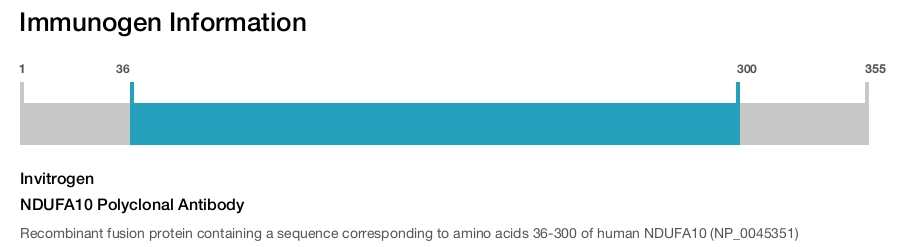 NDUFA10 Polyclonal Antibody