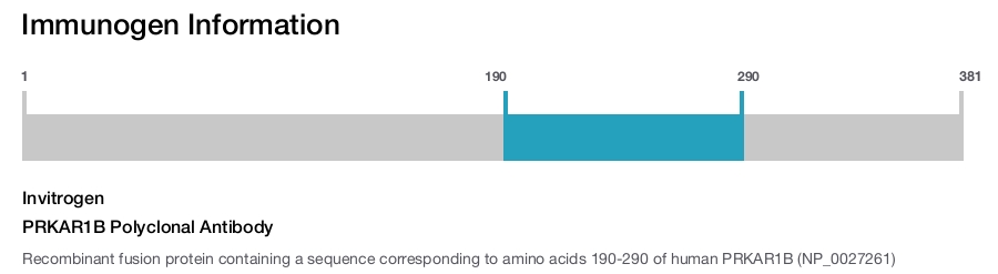 PRKAR1B Polyclonal Antibody