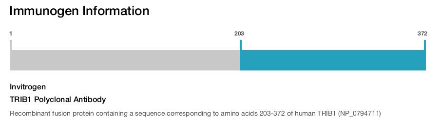 TRIB1 Polyclonal Antibody