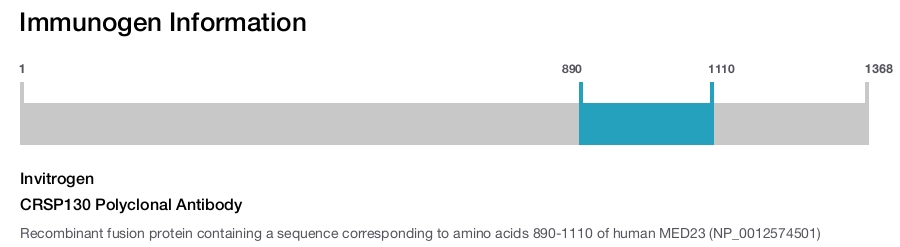 CRSP130 Polyclonal Antibody