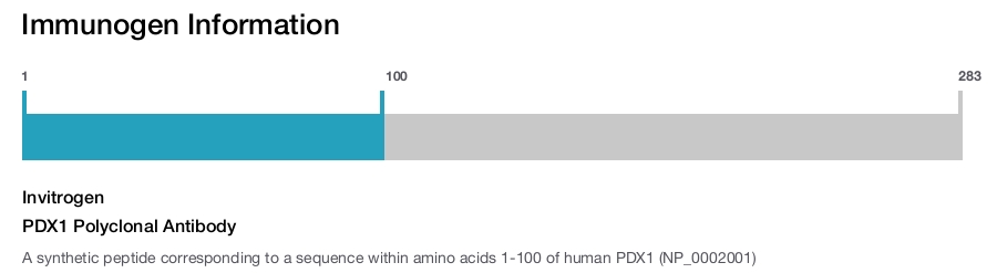 PDX1 Polyclonal Antibody