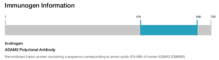 ADAM2 Polyclonal Antibody