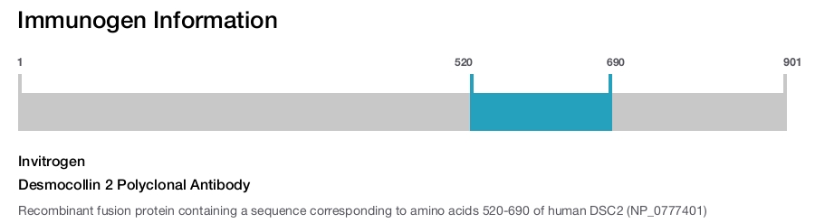 Desmocollin 2 Polyclonal Antibody