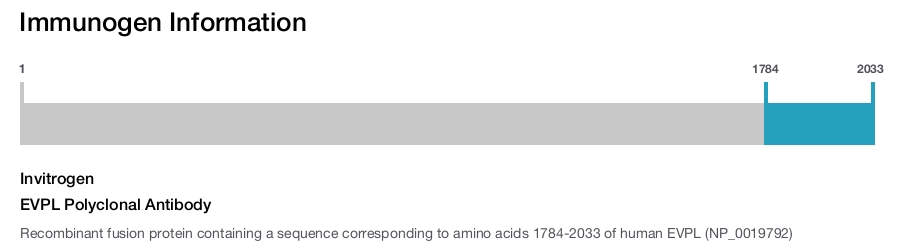 EVPL Polyclonal Antibody