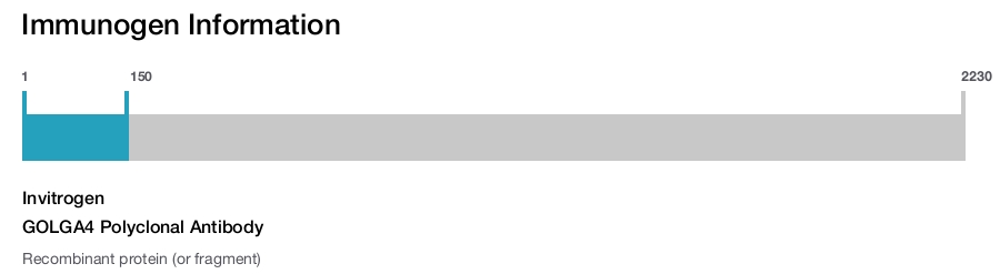 GOLGA4 Polyclonal Antibody