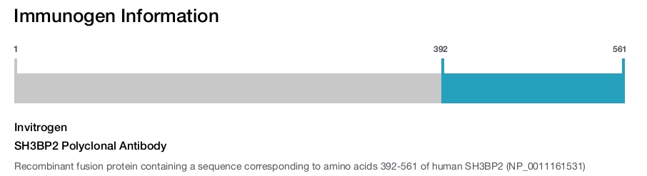 SH3BP2 Polyclonal Antibody