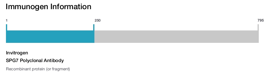 SPG7 Polyclonal Antibody