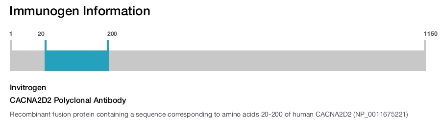 CACNA2D2 Polyclonal Antibody